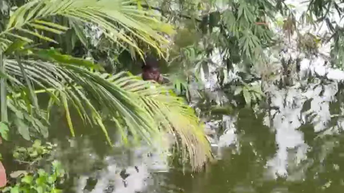murshidabad 16 year old boy living in ponds left home at 11 shocking story murshidabad 16 year old boy living in ponds left home at 11 shocking story