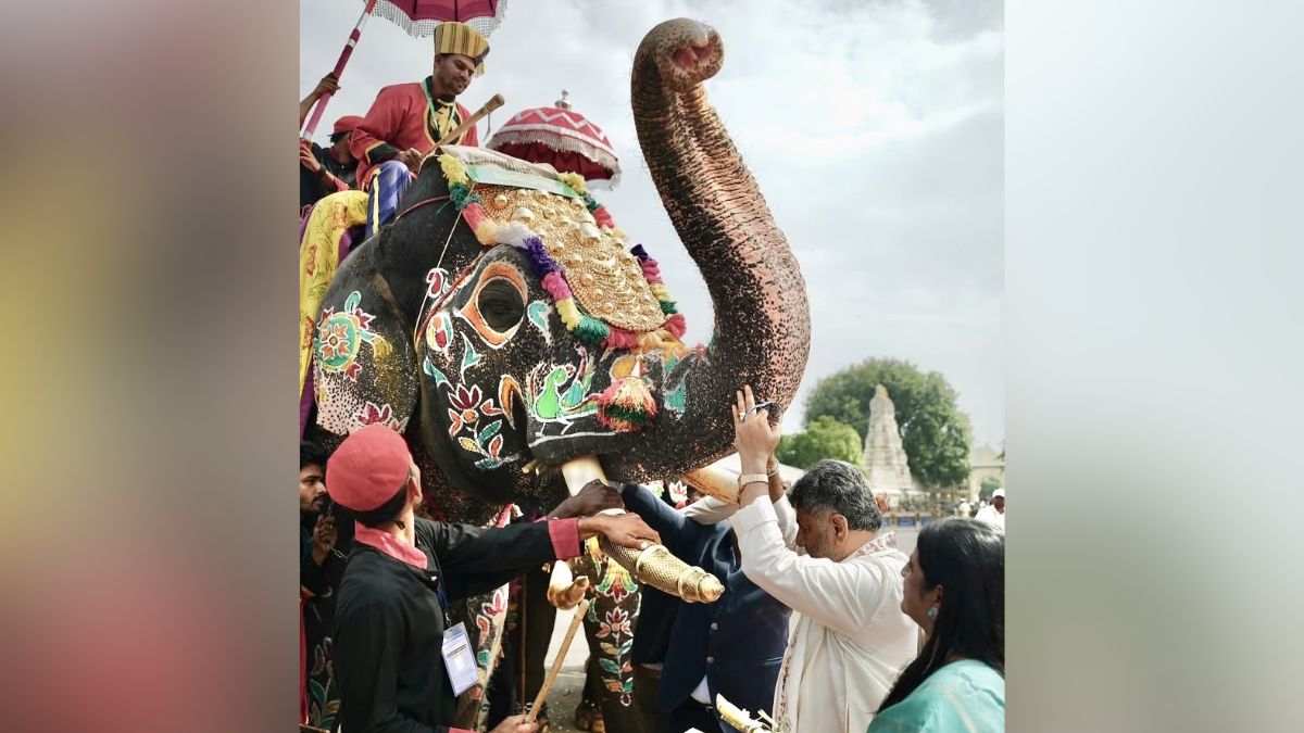 mysuru dussehra 2026 jamboo savari elephant prashantha golden howdah