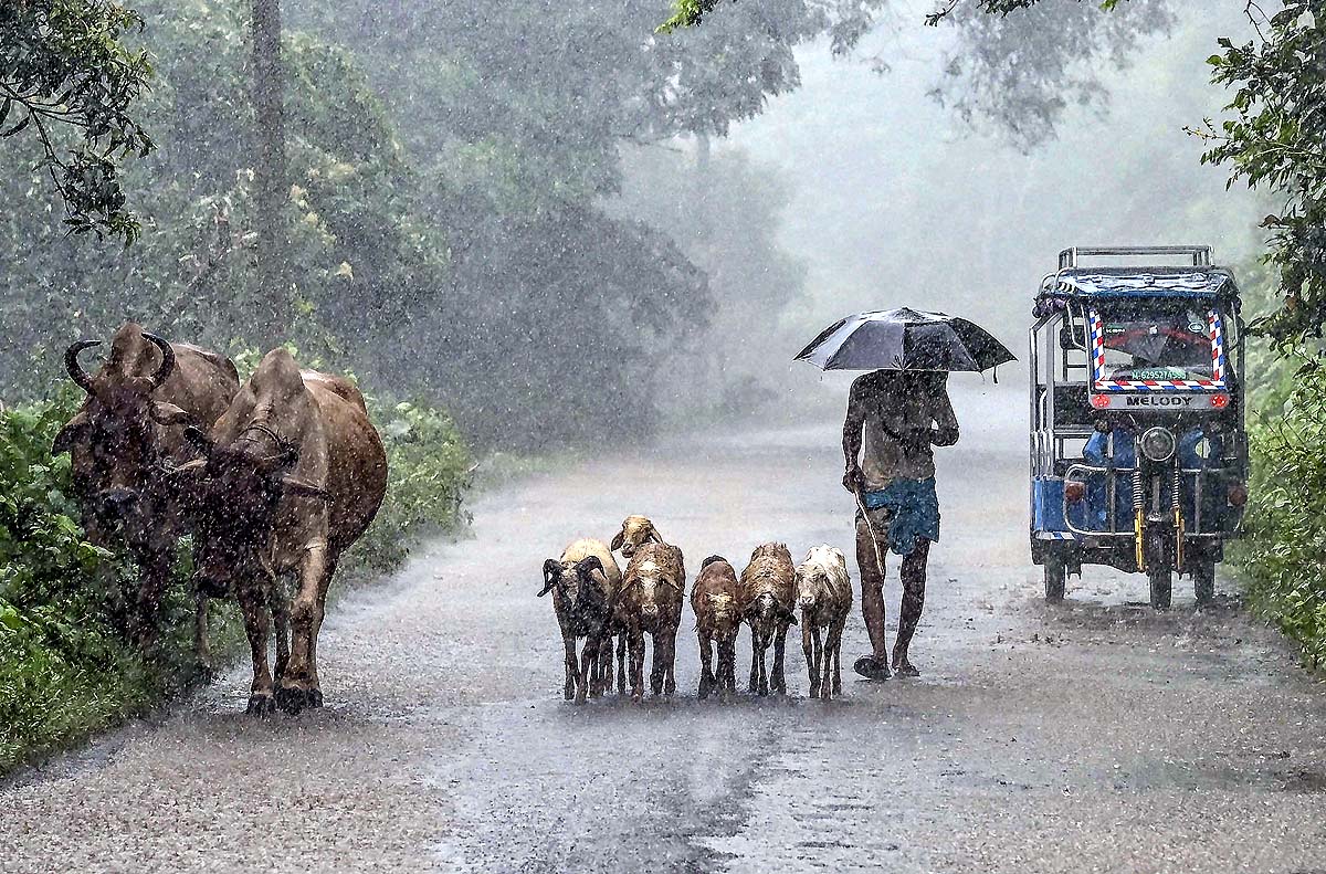 Monsoon Weather Alert