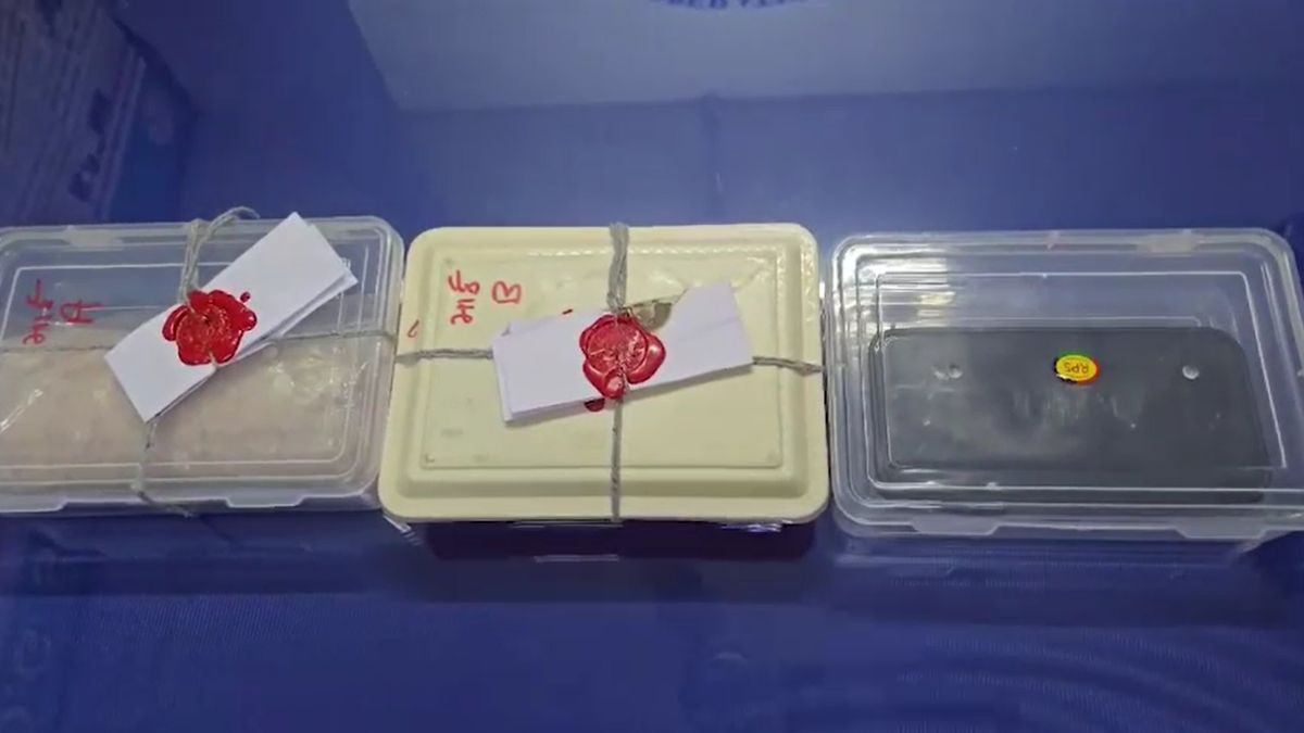 न्यू ईयर पार्टी में म्याऊं-म्याऊं, कोडवर्ड था– ‘वाशिंग पाउडर’… इंस्टाग्राम पर आते थे कस्टमर, सन्न कर देगी ये कहानी