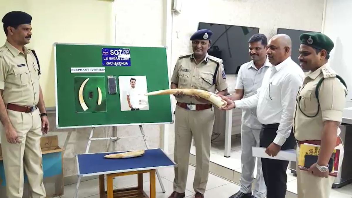 TV कवर में छिपाए थे हाथी दांत, कीमत 3 करोड़ थी... दो लोग जैसे ही बस से उतरे तो SOT ने धर दबोचा TV कवर में छिपाए थे हाथी दांत, कीमत 3 करोड़ थी... दो लोग जैसे ही बस से उतरे तो SOT ने धर दबोचा