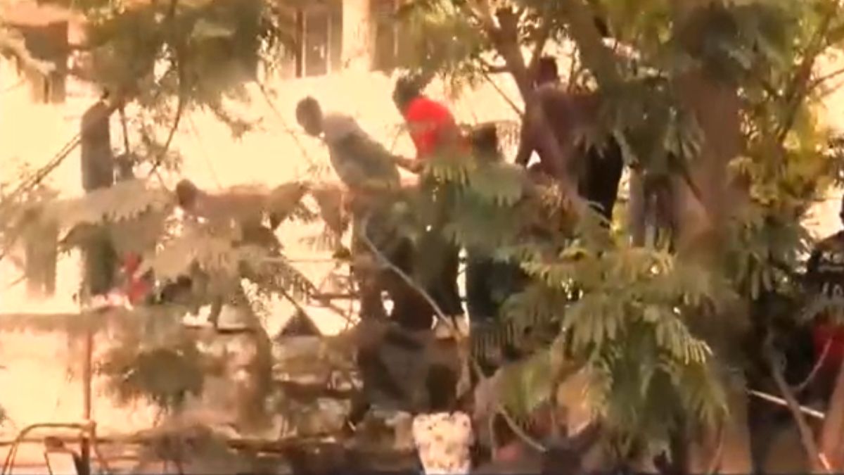 ओवरक्राउड, फ्री पास और 11 मौतें... बेंगलुरु क्रिकेट स्टेडियम में कैसे उमड़ी भीड़ और मच गई भगदड़, जानें पूरी कहानी