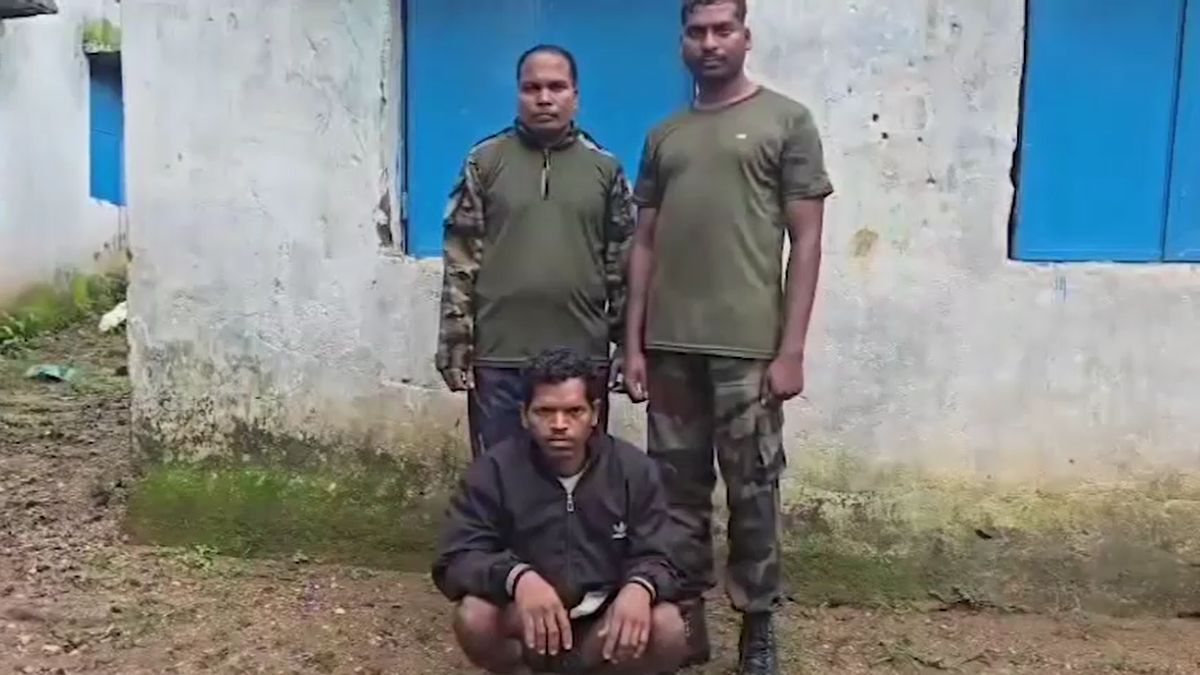 बीमार बेटे के लिए 3 साल के मासूम की बलि... बिस्किट के बहाने घर बुलाया... अंधविश्वास की खौफनाक कहानी बीमार बेटे के लिए 3 साल के मासूम की बलि... बिस्किट के बहाने घर बुलाया... अंधविश्वास की खौफनाक कहानी