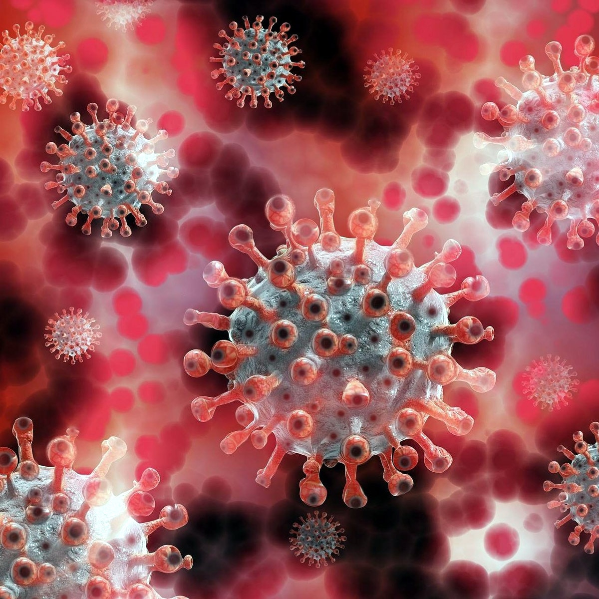 Norovirus outbreak Cruise ship