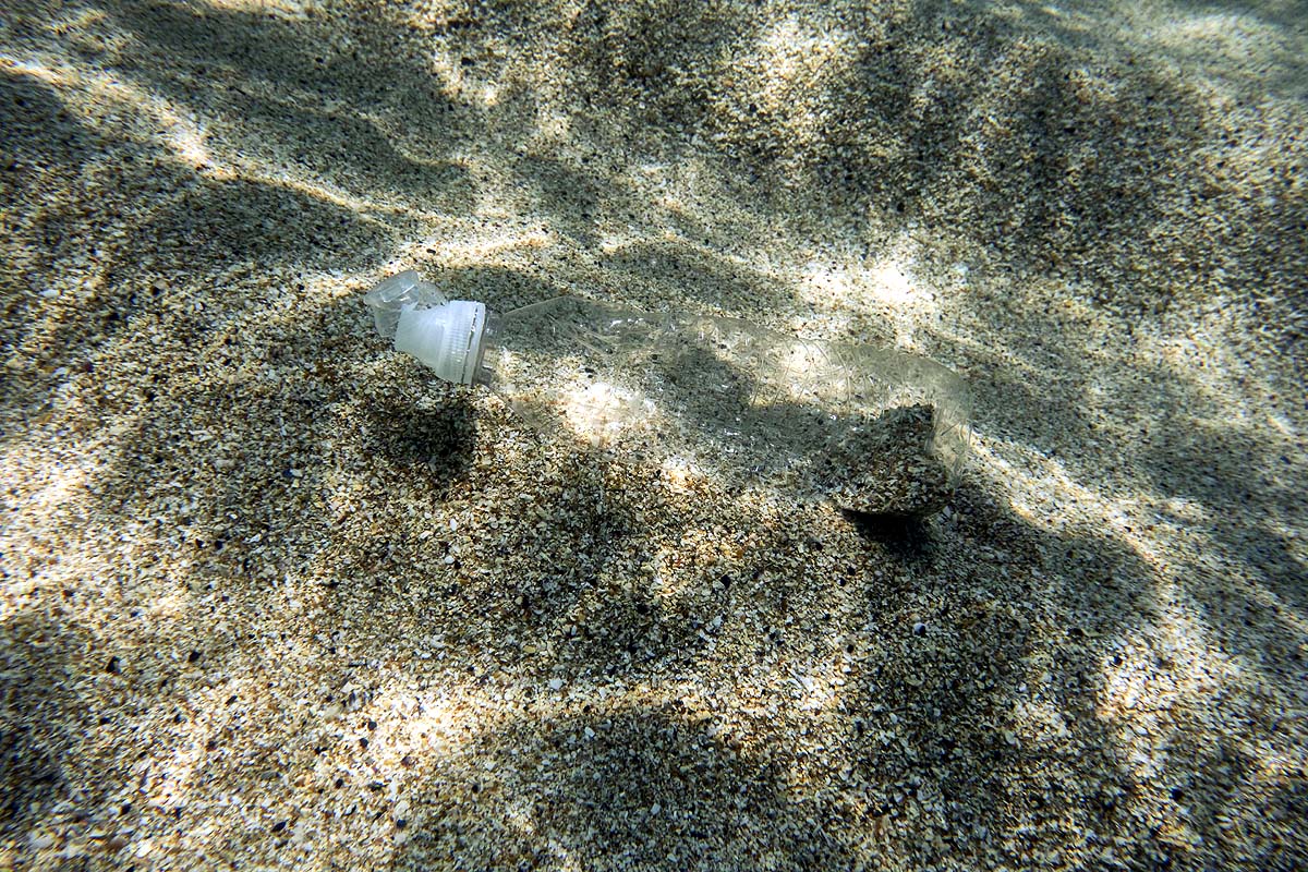 Deep Sea Viruses