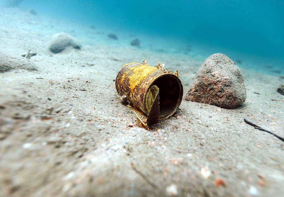 Deep Sea Viruses