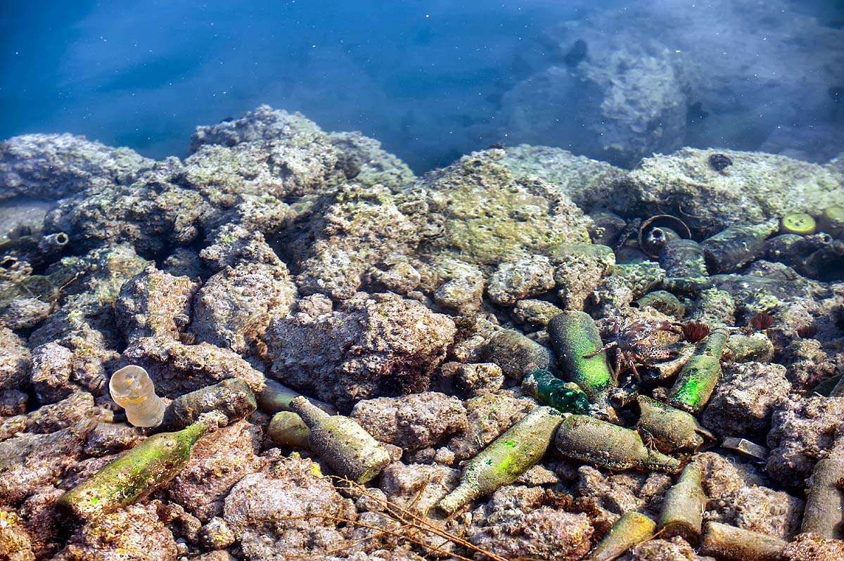 Deep Sea Viruses