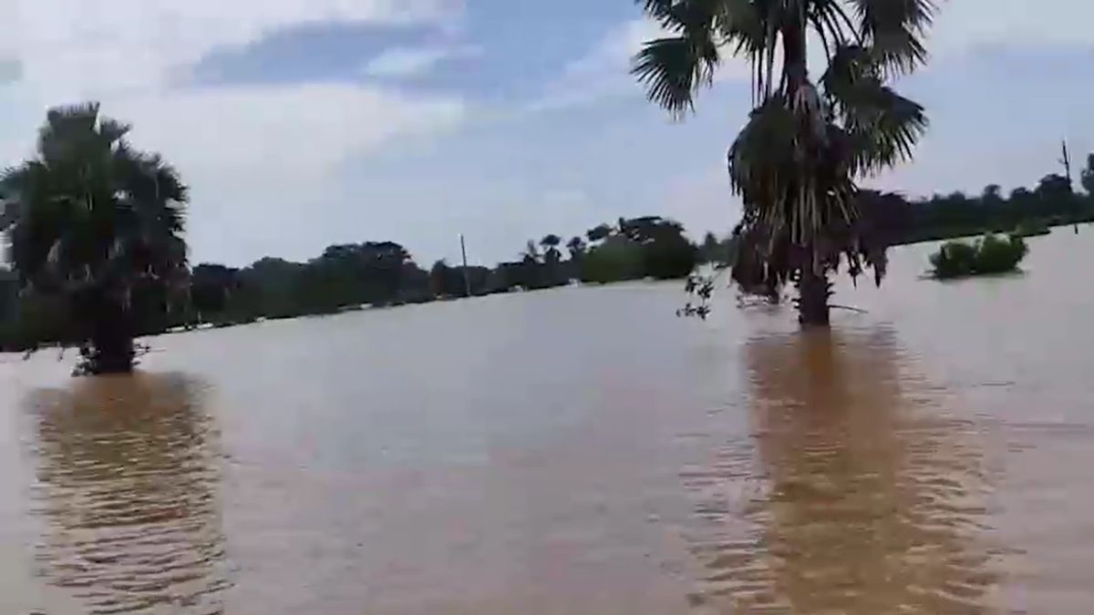 odisha flood groom reaches bride by boat baraat bidai through floodwaters video odisha flood groom reaches bride by boat baraat bidai through floodwaters video
