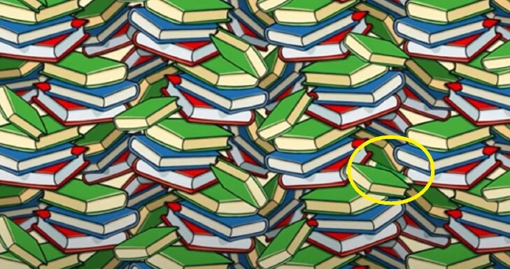 Optical Illusion Quiz