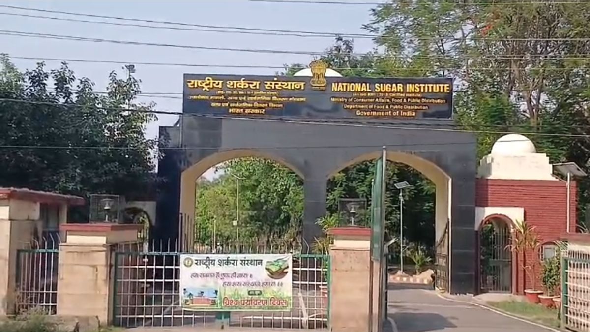 Over 600 Trees Illegally Felled at NSI Kanpur Director Among Five Booked