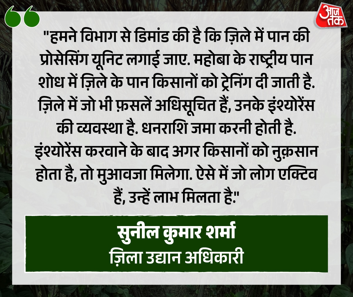 paan kisan pratapgarh betel leaf story 