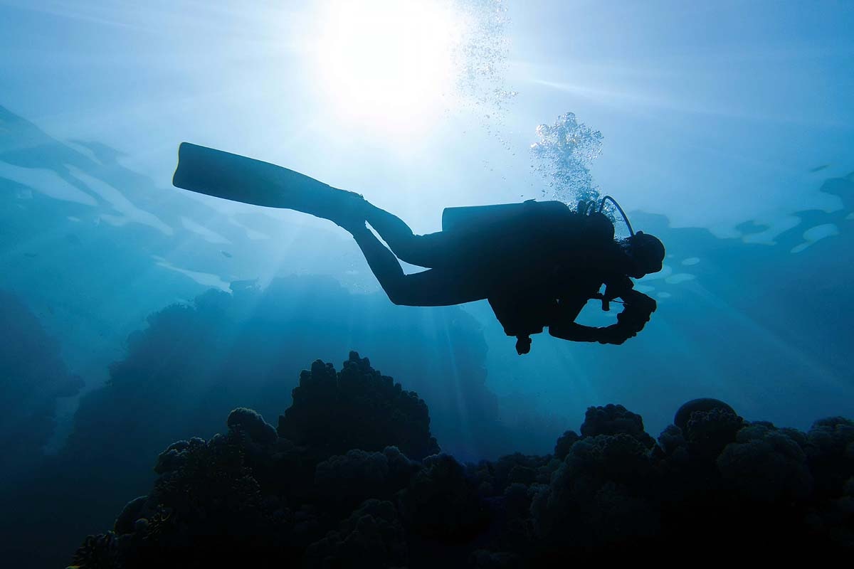 Pacific Ocean Warming Pacific Ocean Warming