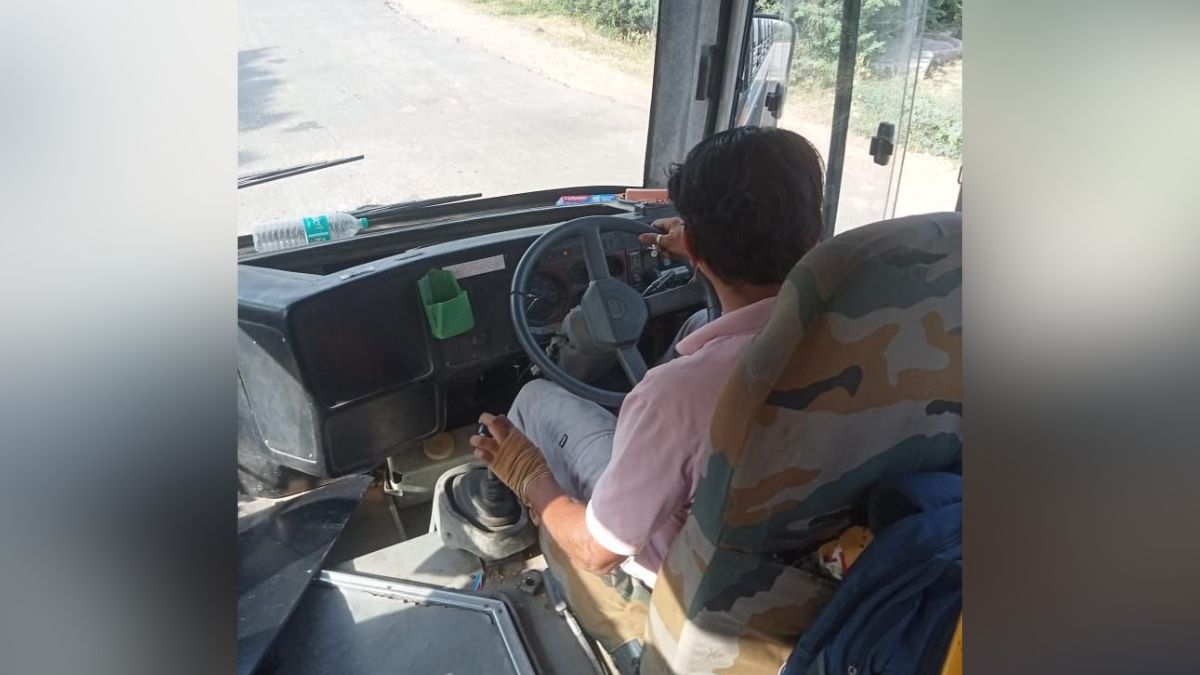 pali snake found inside private school bus rescue