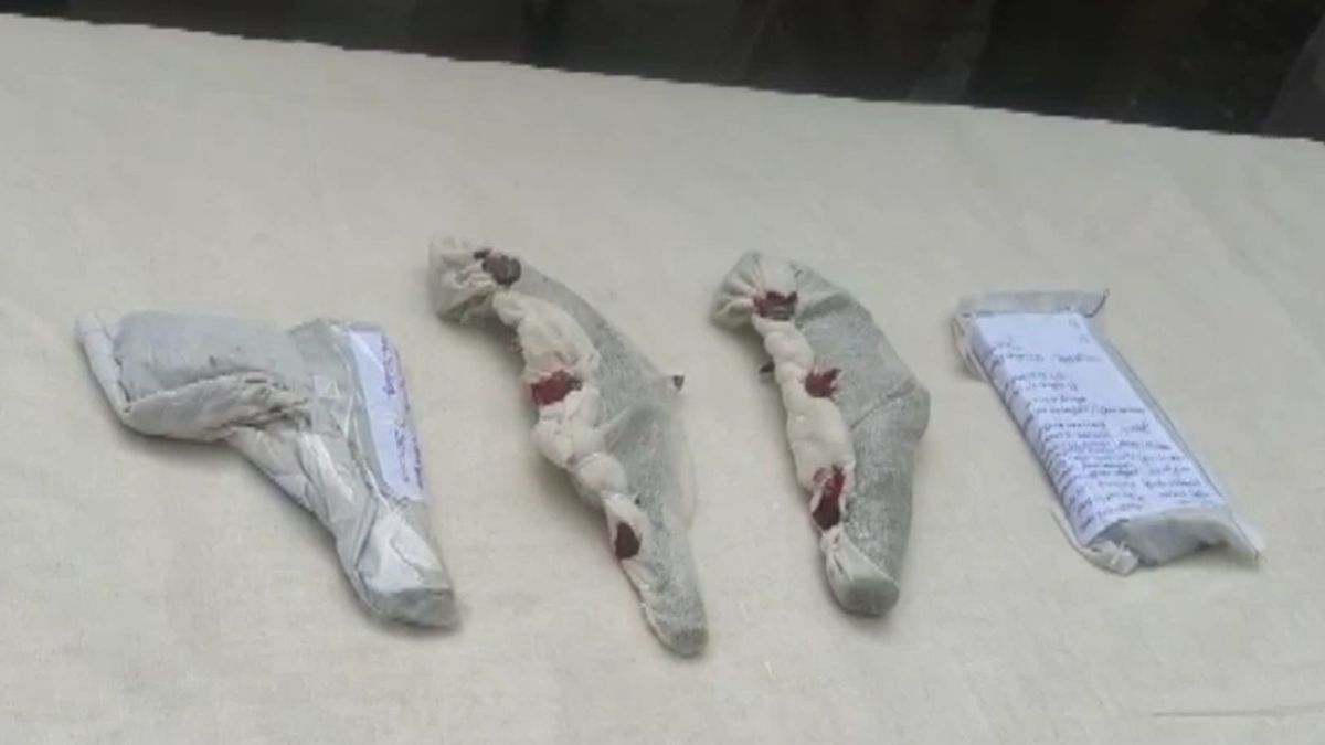 panna kidnapping case instagram reels led to abduction of cloth merchant son panna kidnapping case instagram reels led to abduction of cloth merchant son