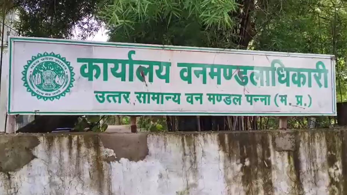 Panna Shyam Bai Diamond Hunt Runjh River Rainy Season Diamond Search Story