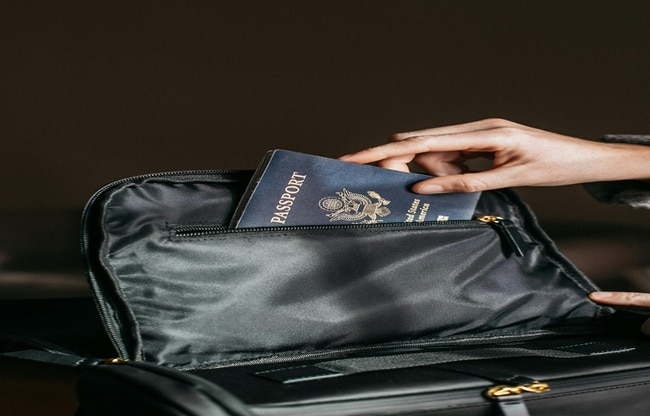 passport bros (Photo- Pexels)