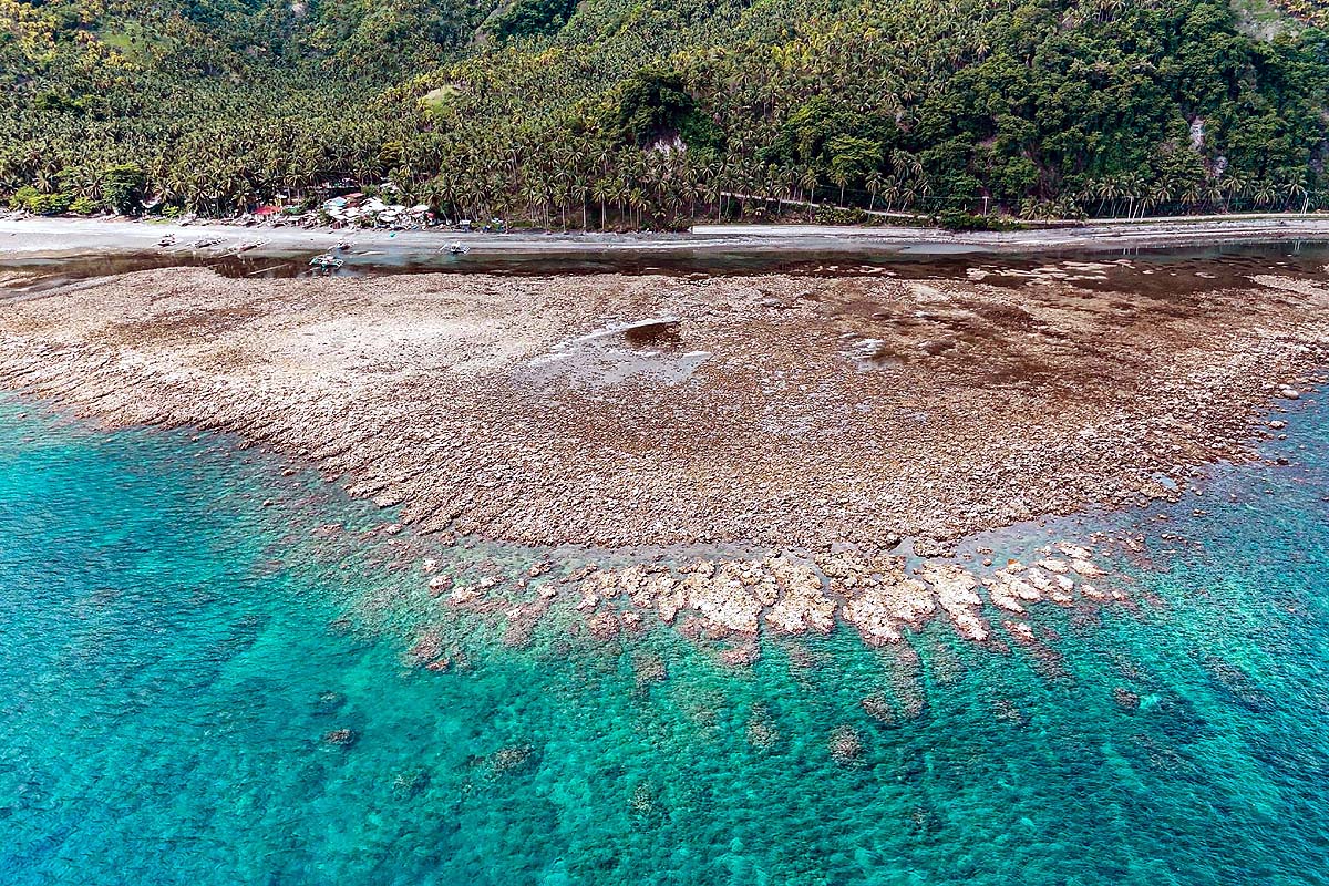 Philippines Earthquake Coastal Uplift