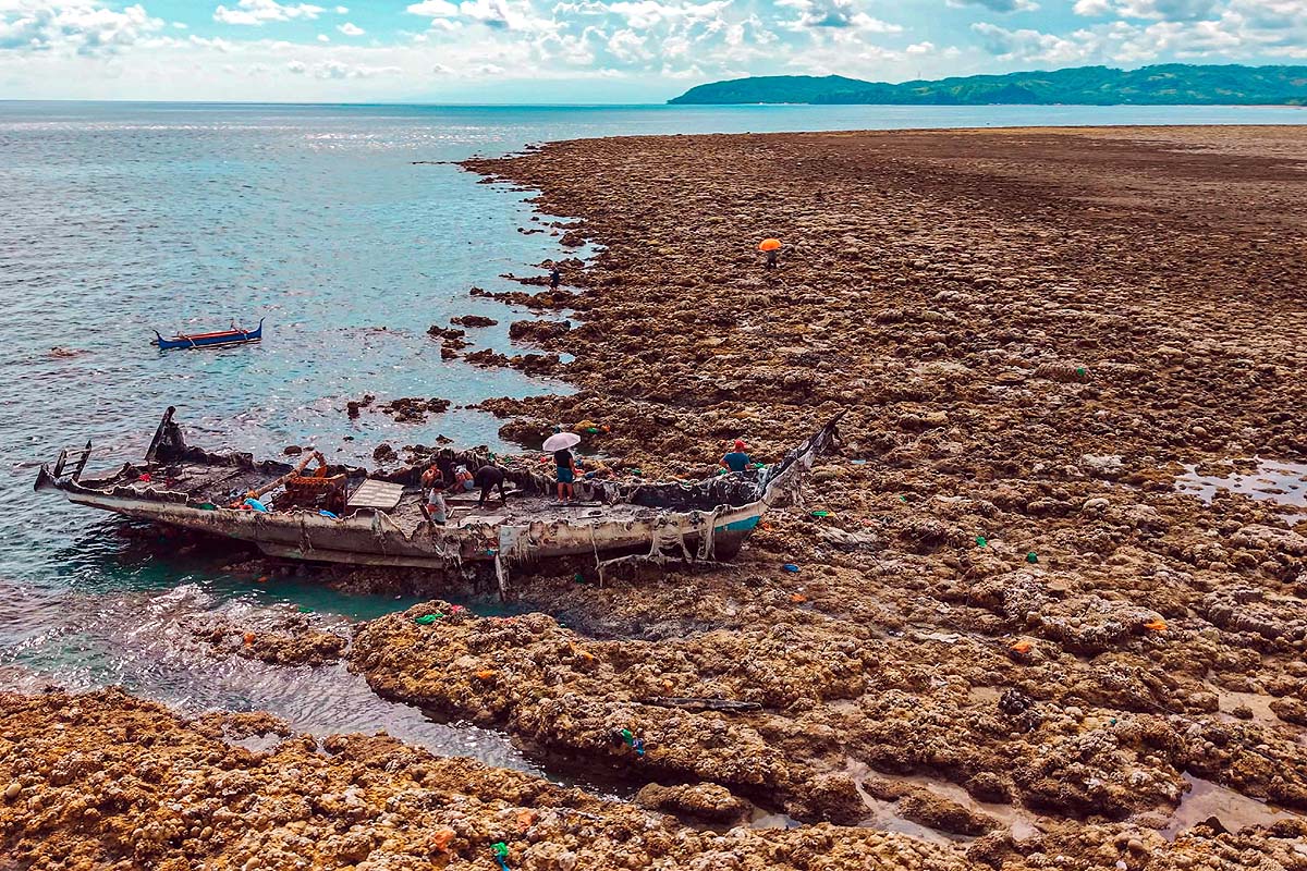 Philippines Earthquake Coastal Uplift