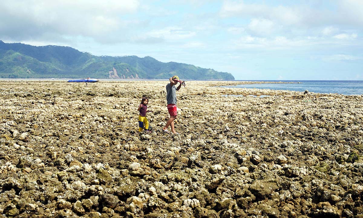 Philippines Earthquake Coastal Uplift