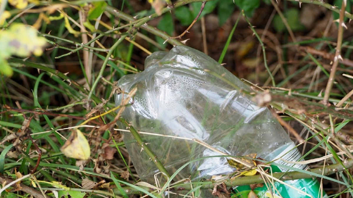 सावधान! अब पानी नहीं, आसमान से बरसेगा प्लास्टिक, इन शहरों की छतों पर