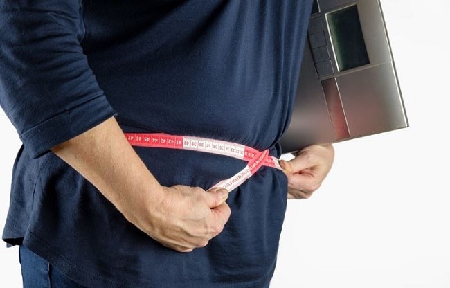 obesity change in brain similar to alzheimer