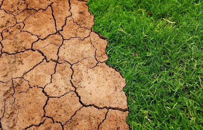 farmland carbon credit (Photo- Pixabay) farmland carbon credit (Photo- Pixabay)