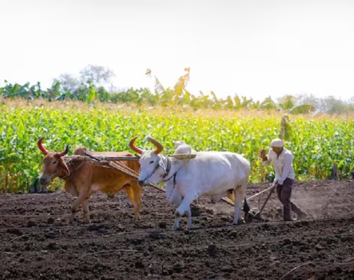 PM Kisan Samman Nidhi (File Photo)