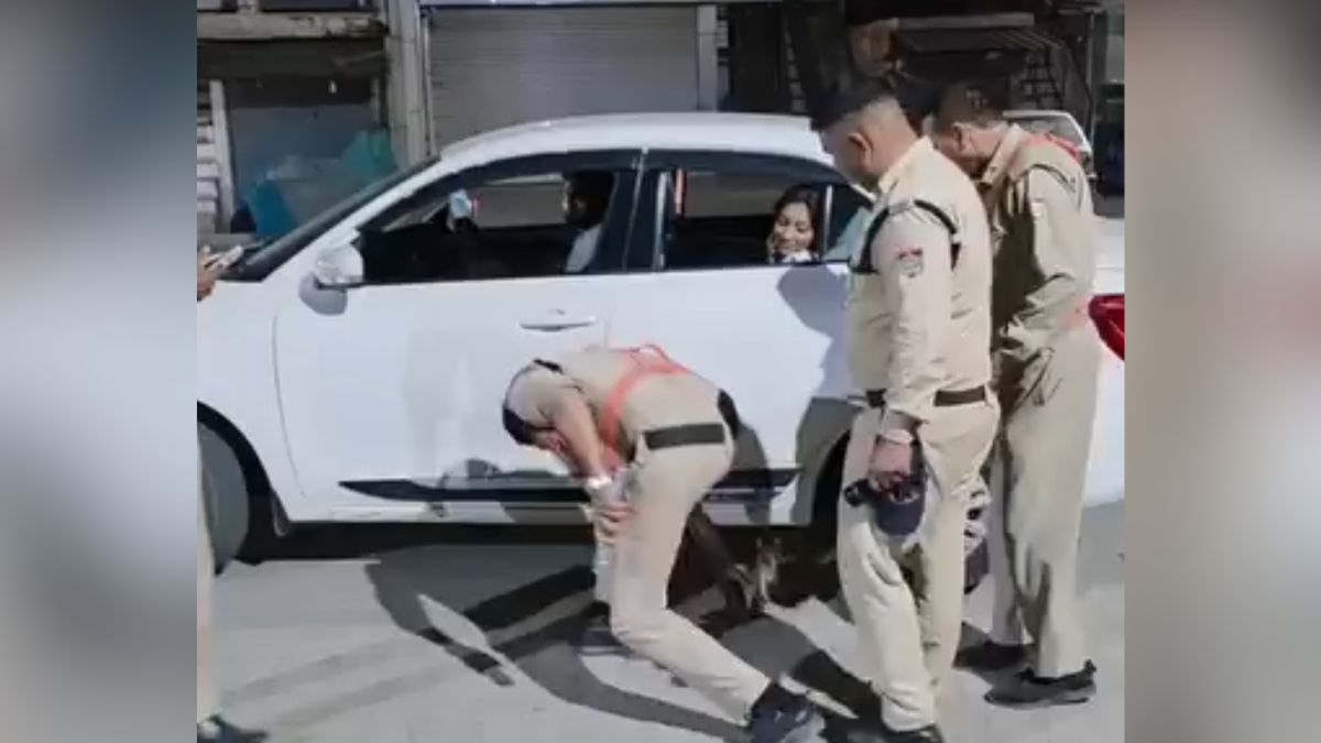 policeman saves kitten from road takes her home viral video selaqui uttarakhand policeman saves kitten from road takes her home viral video selaqui uttarakhand
