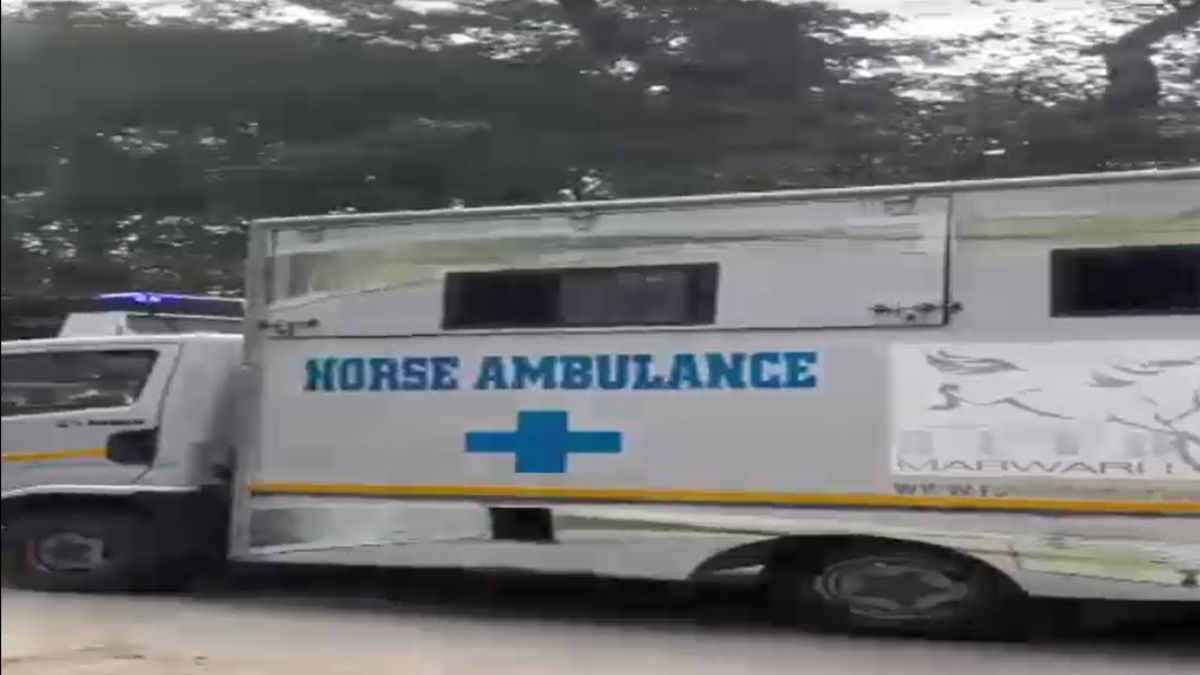 Pratapgarh Vijay Raj Marwadi horse worth one crore 50 lakh