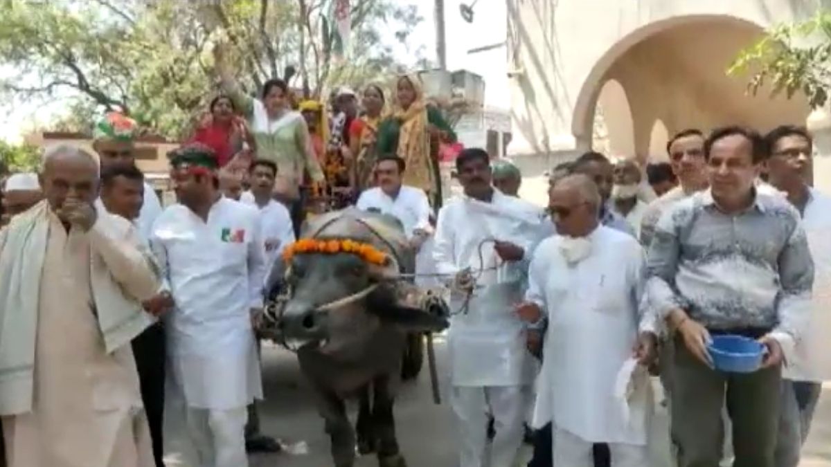 भैंसा बुग्गी पर सवार कांग्रेसियों ने हाथों में कटोरा लेकर किया प्रदर्शन.