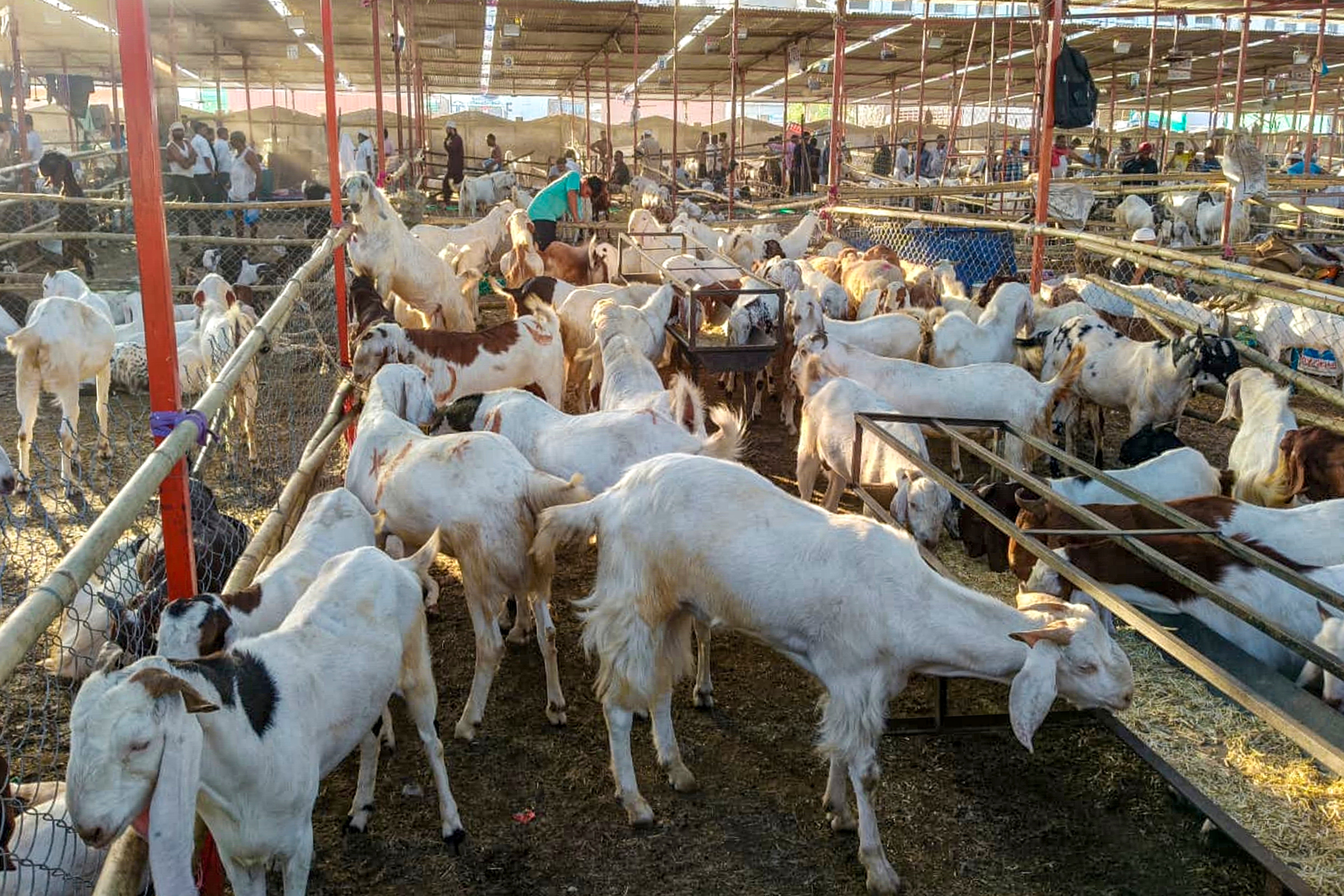 bakrid 2026
