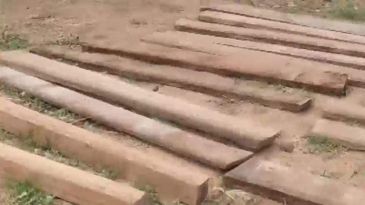pushpa style teak wood smuggling gariaband timber hidden in ponds riverbanks pushpa style teak wood smuggling gariaband timber hidden in ponds riverbanks