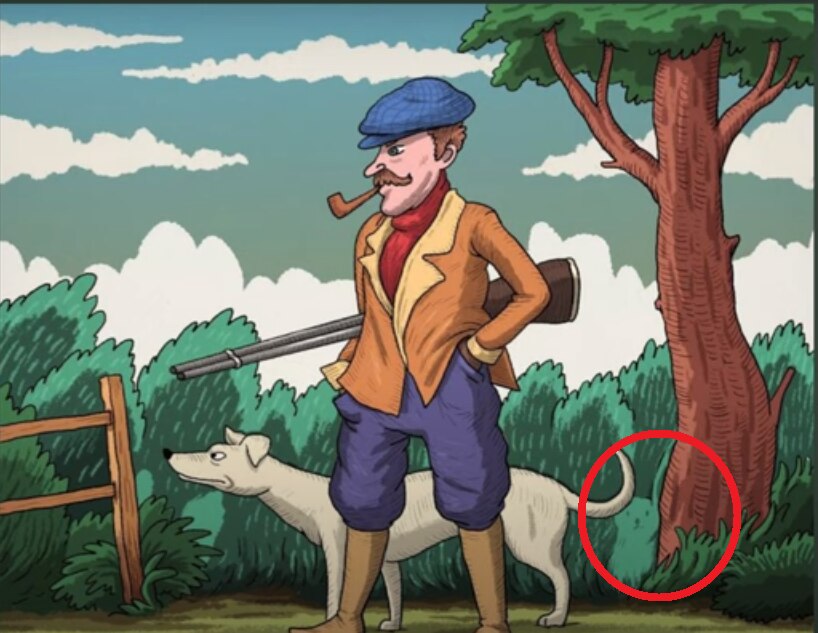 Optical Illusion Quiz Optical Illusion Quiz