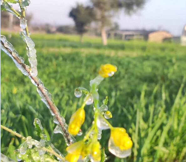 Rajasthan Weather Update 
