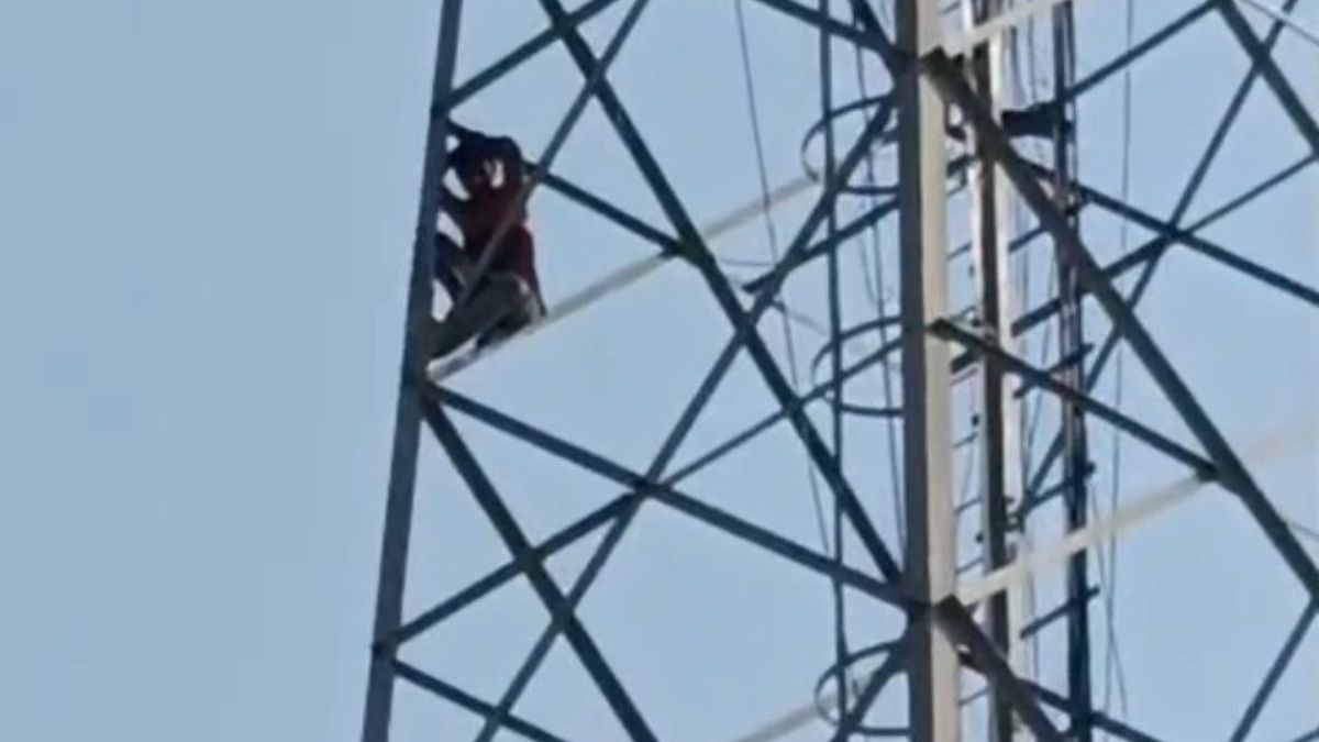 rampur man climbs mobile tower marriage demand sholay style rescued police