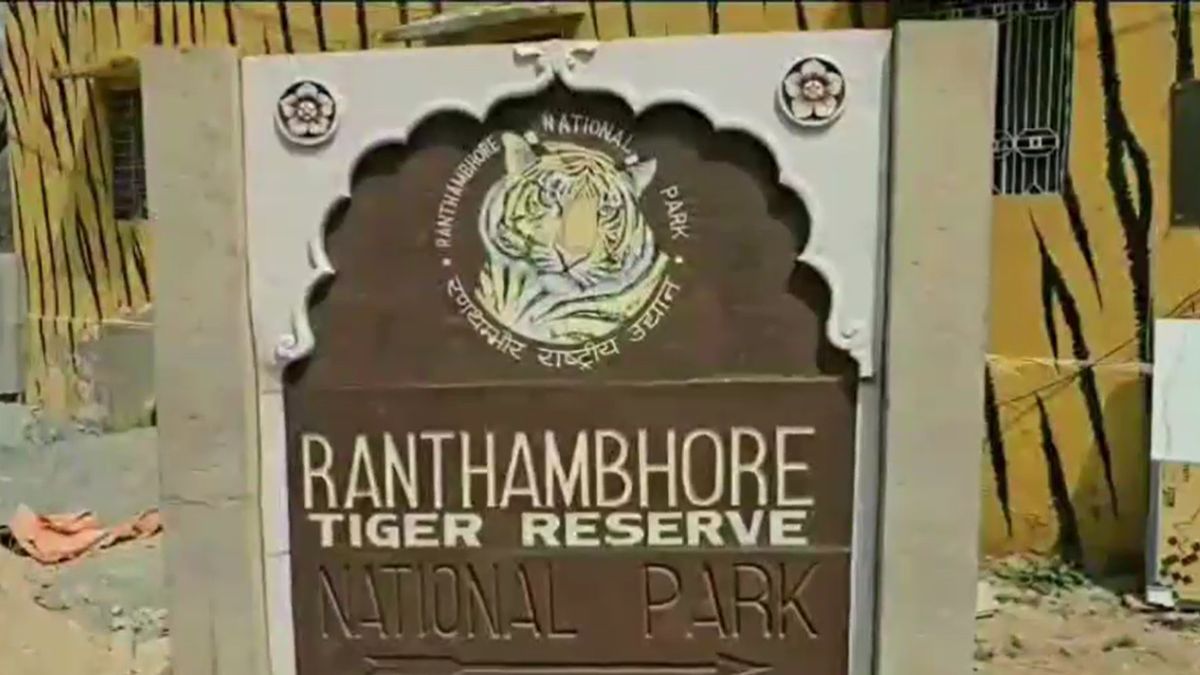 Sawai Madhopur Ranthambhore Leopard Monitoring Install Silent Devices High Track Sensors
