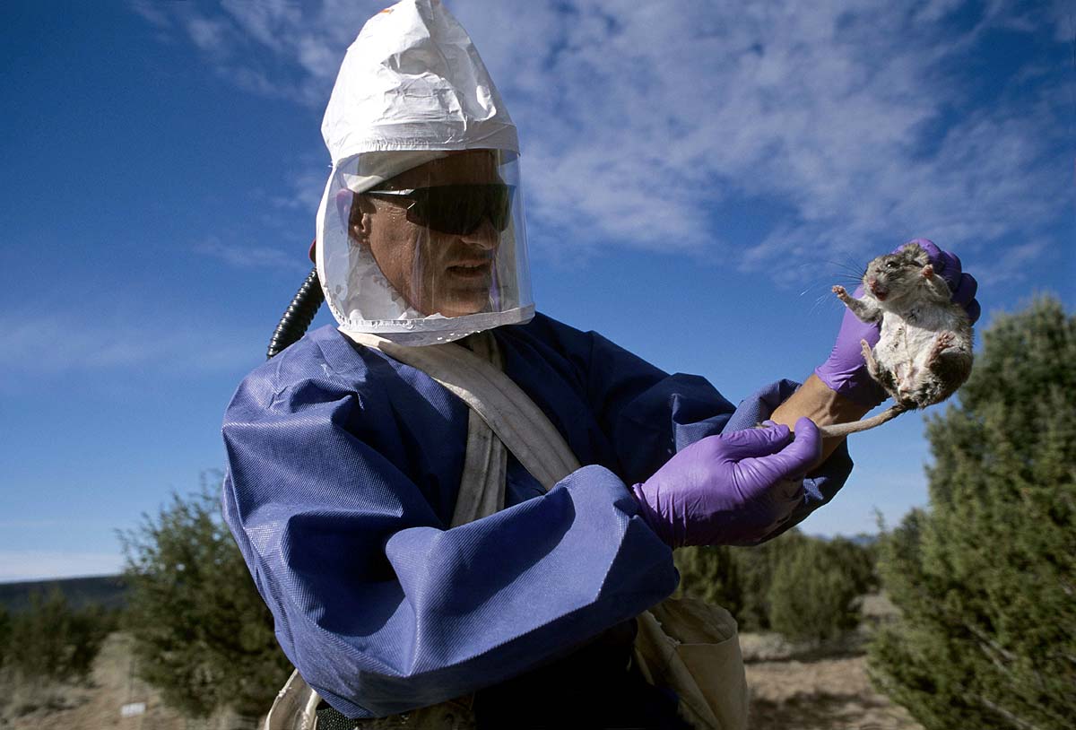 Hantavirus Human To Human Infection