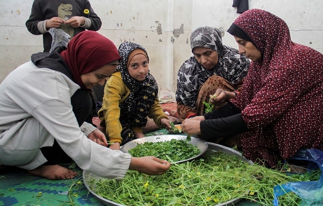 gaza strip famine situation (Photo- Reuters) gaza strip famine situation (Photo- Reuters)