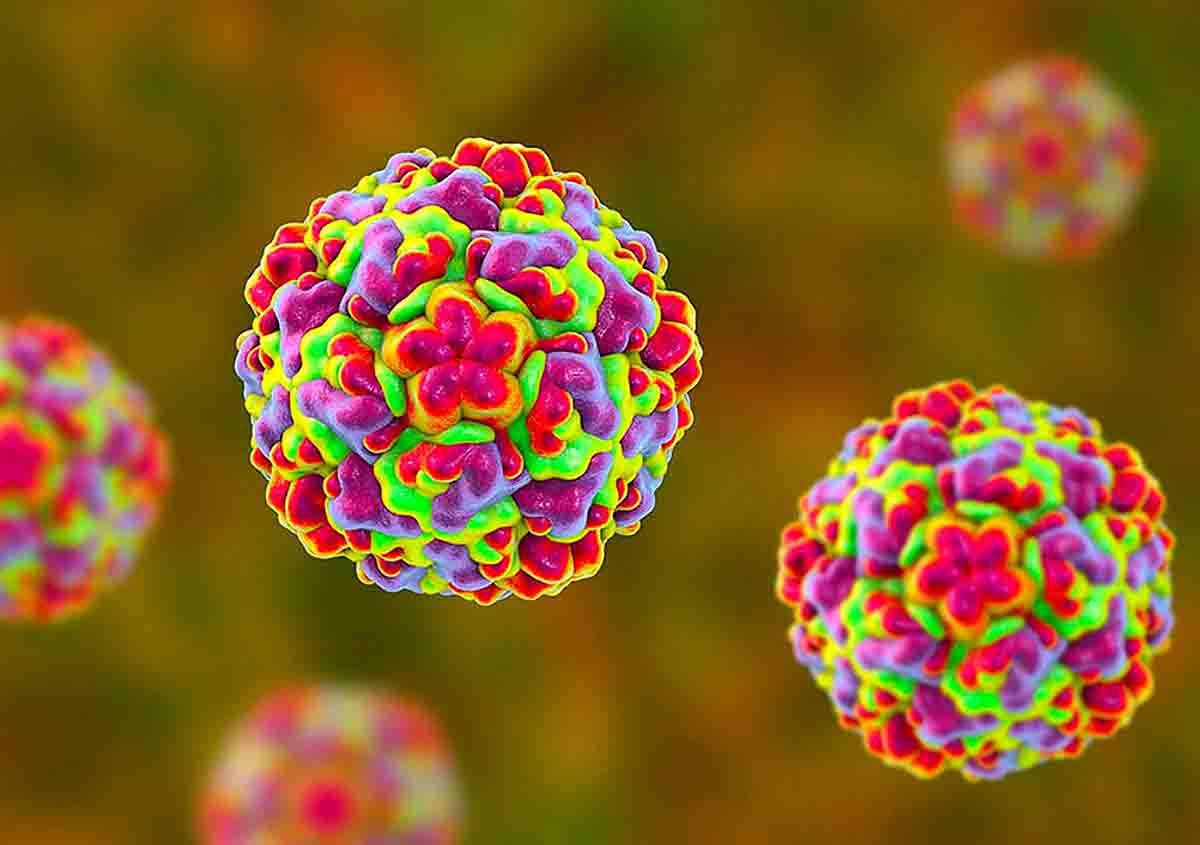 one lab accident activated two virus one lab accident activated two virus