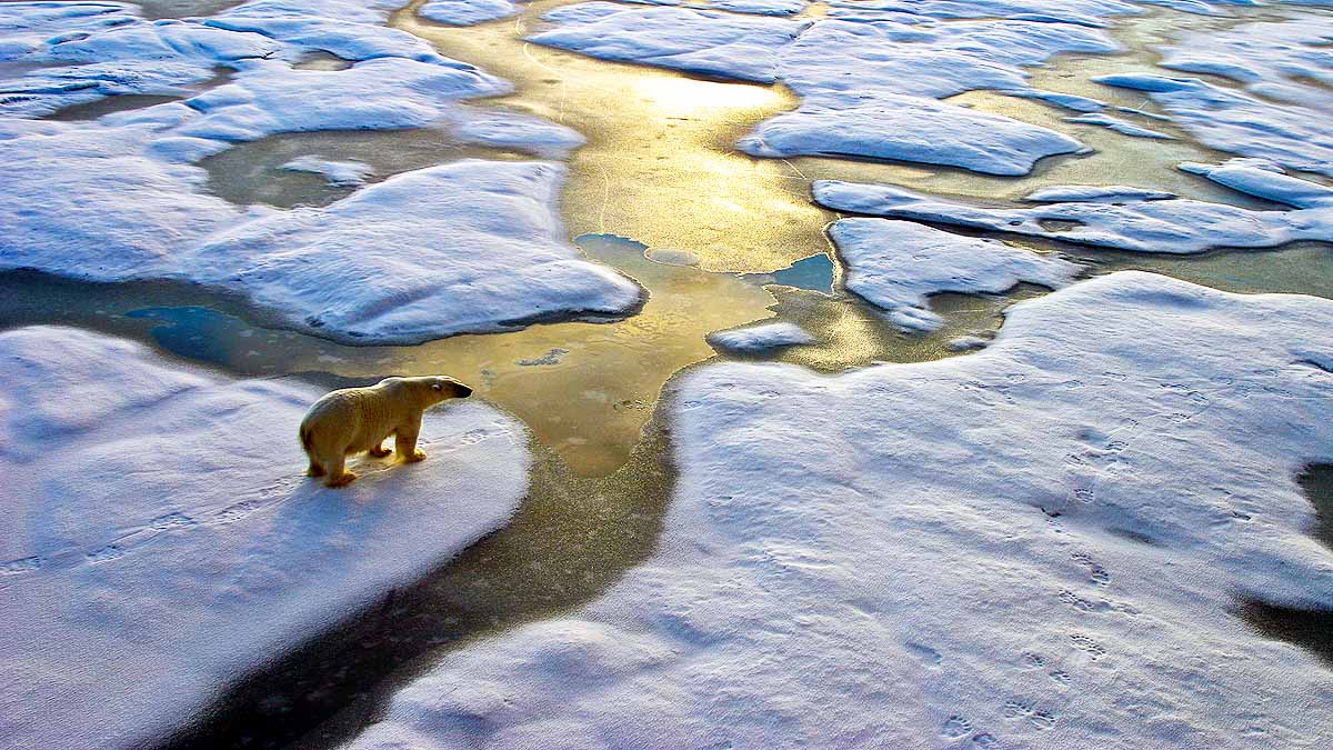 Global Temperature Rise