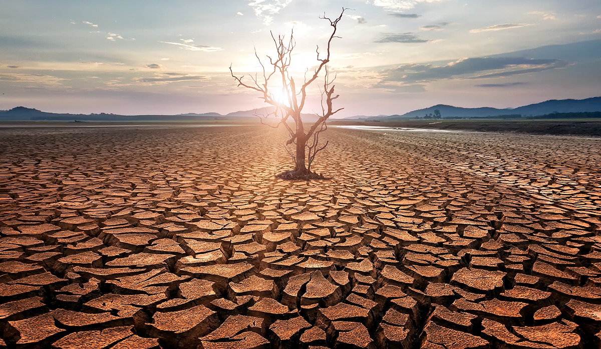 Global Temperature Rise