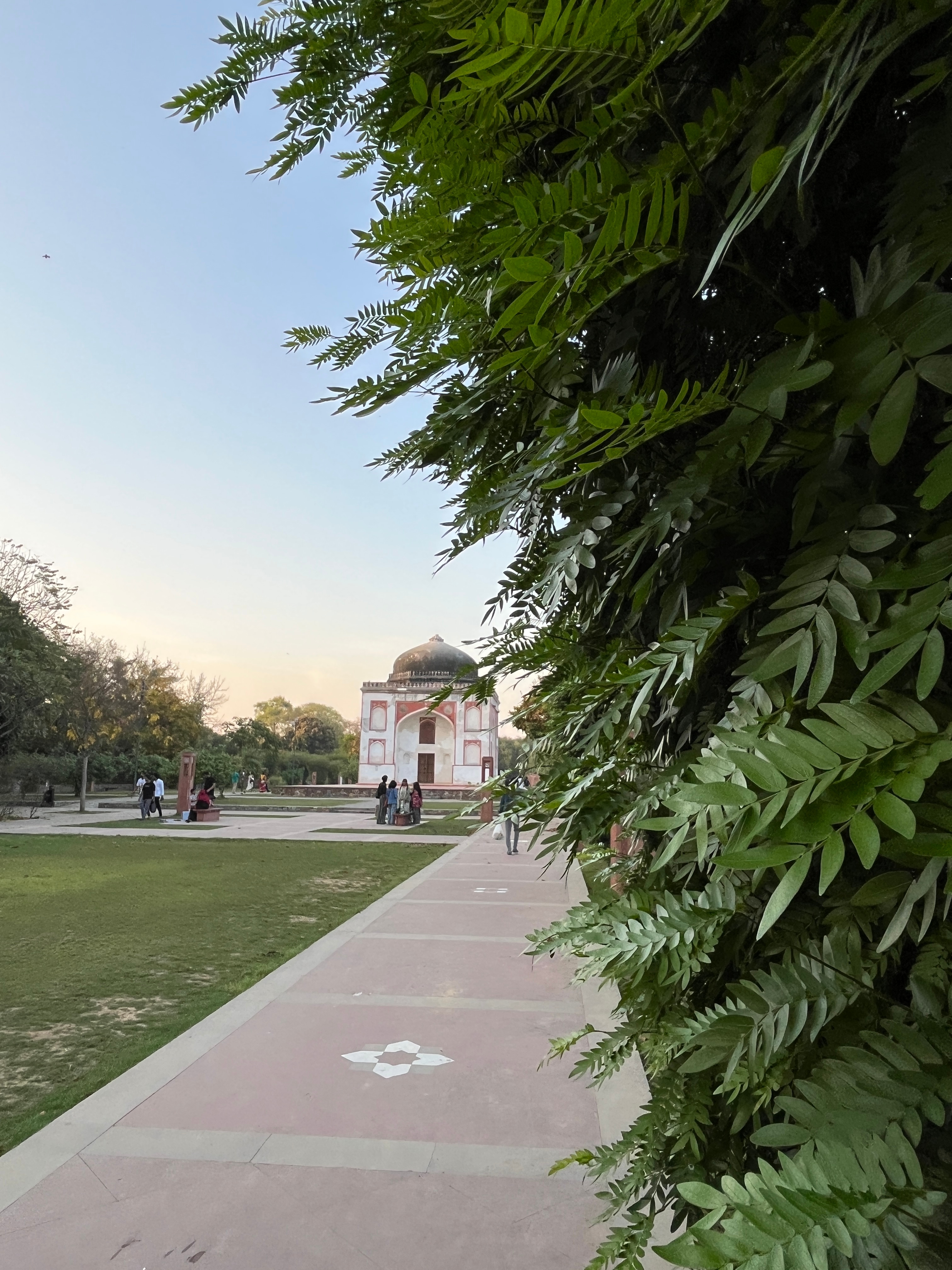 sakib mazeed sunder nursery