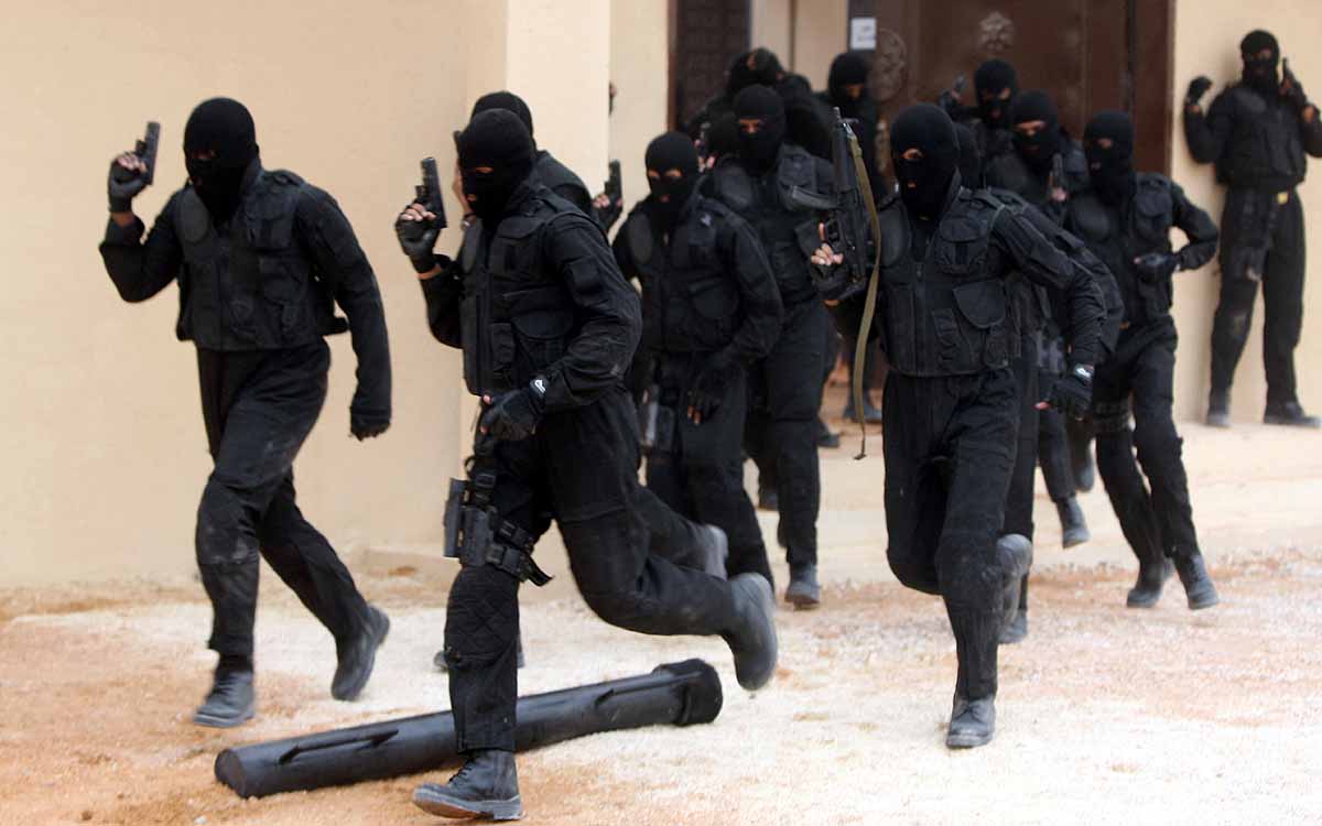 Saudi Arab Pakistan Weapons