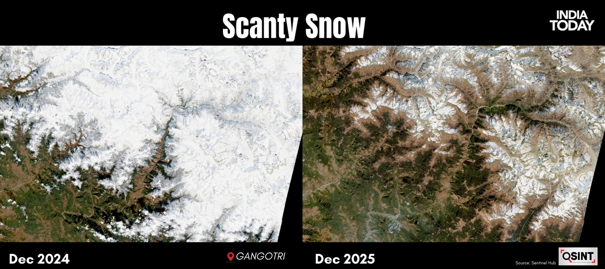 Climate Crisis in Himalayas