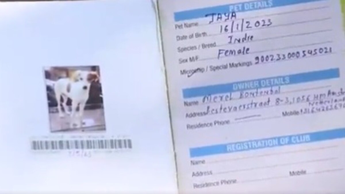 वाराणसी की गलियों में घूमने वाली डॉगी जया जाएगी नीदरलैंड, वीजा-पासपोर्ट भी बना