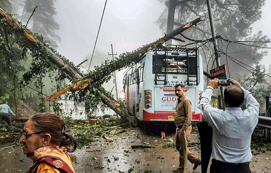 Shimla Bus Damaged after a tree fell Shimla Bus Damaged after a tree fell