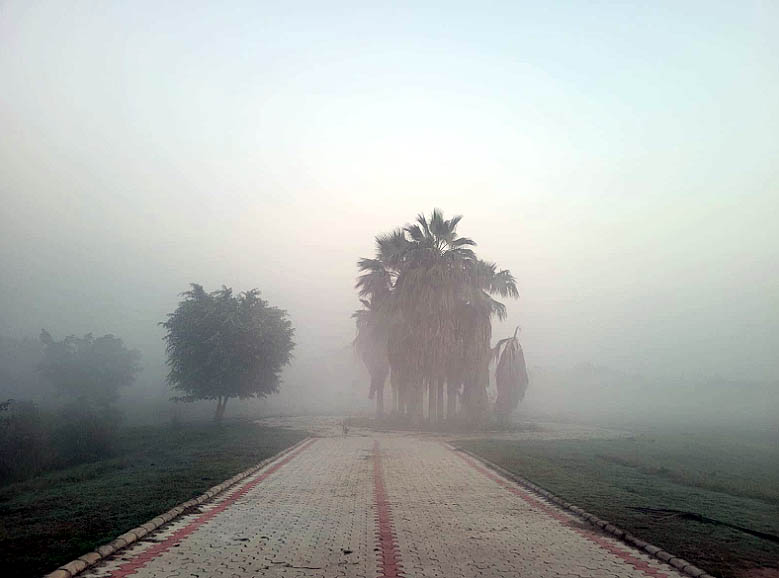 Delhi NCR smog Delhi NCR smog