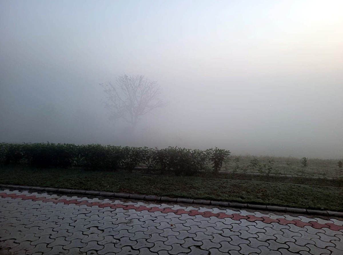 Delhi NCR smog Delhi NCR smog