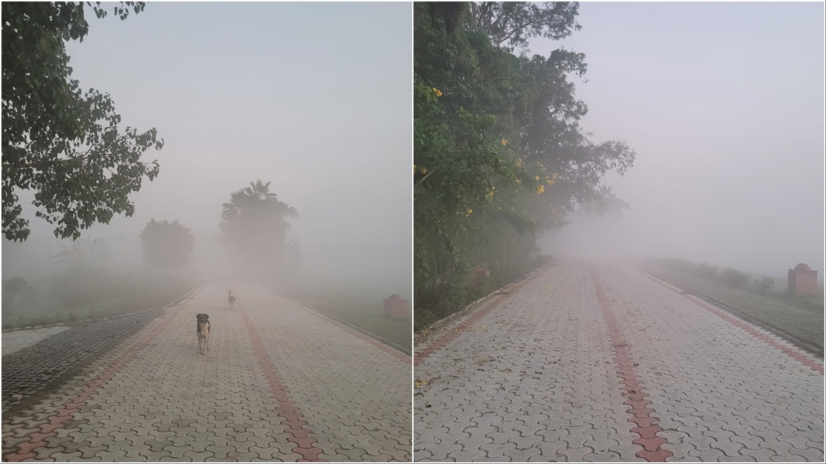 Delhi NCR smog Delhi NCR smog