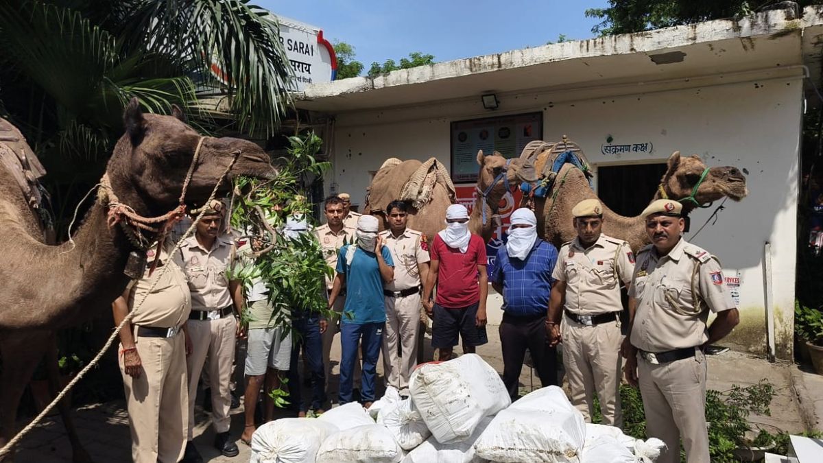 smuggling liquor from Haryana to Delhi through camels lcla smuggling liquor from Haryana to Delhi through camels lcla
